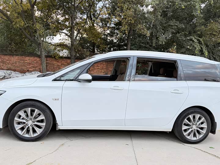 Фото 16 - Buick GL6