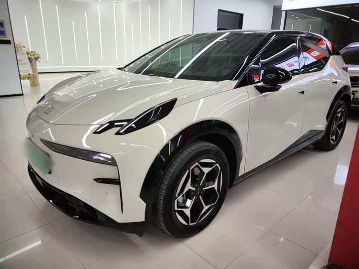 Фото 1 - Zeekr X