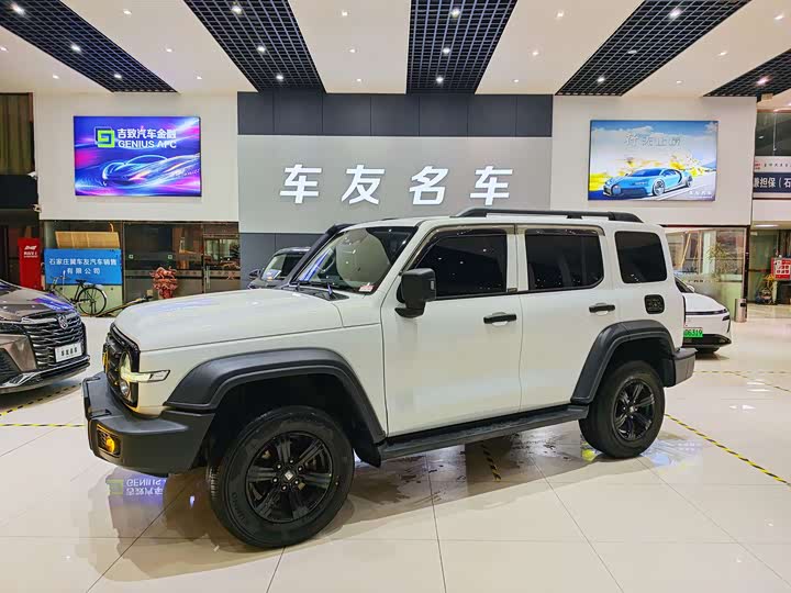 Фото 1 - Tank 300