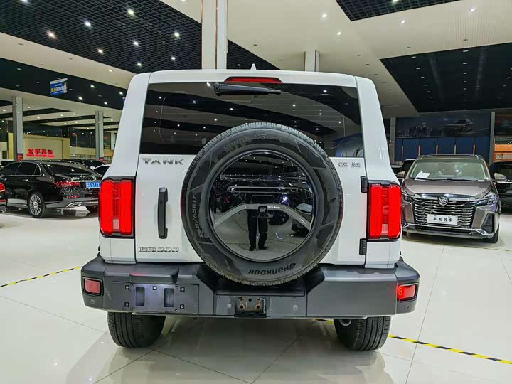 Фото 13 - Tank 300