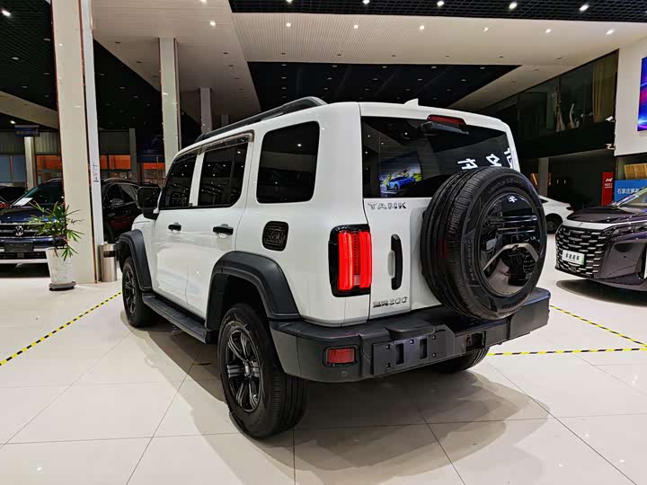 Фото 14 - Tank 300