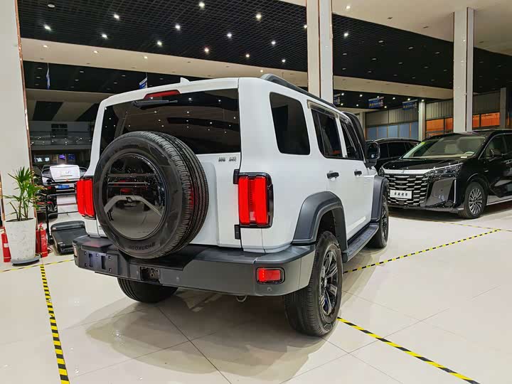 Фото 15 - Tank 300