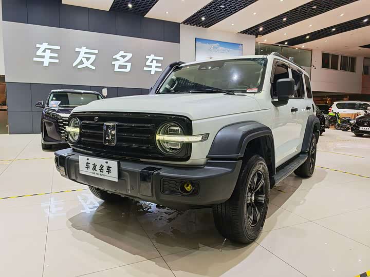 Фото 2 - Tank 300