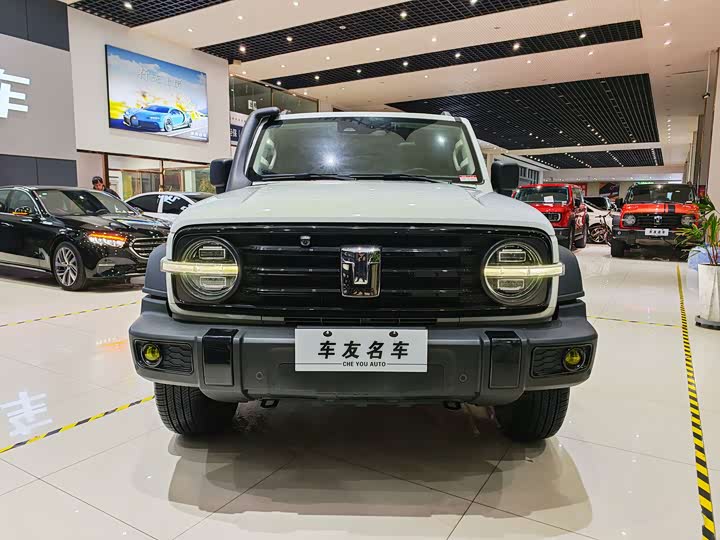 Фото 3 - Tank 300