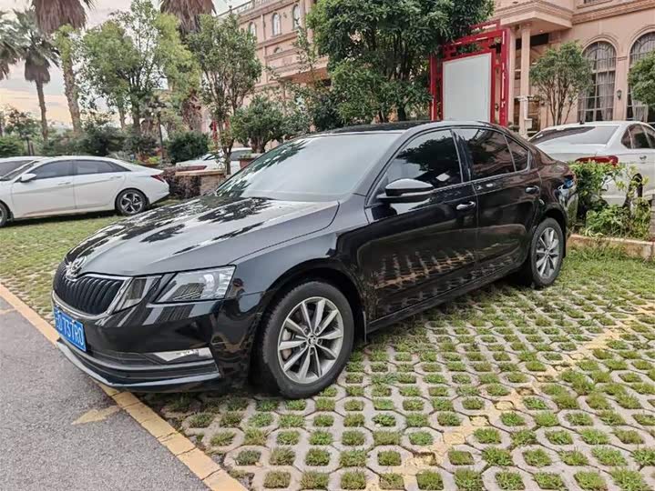 Фото 1 - Skoda Octavia Pro