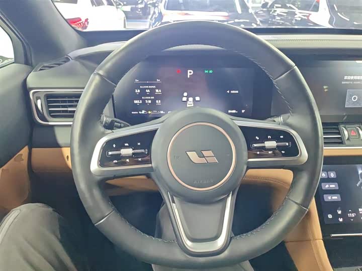 Фото 11 - LiXiang One