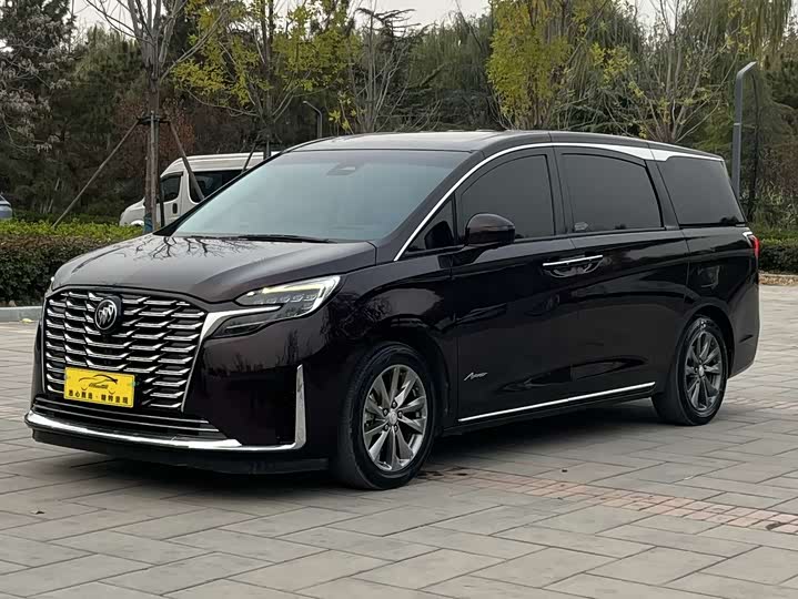 Фото 1 - Buick GL8 ES