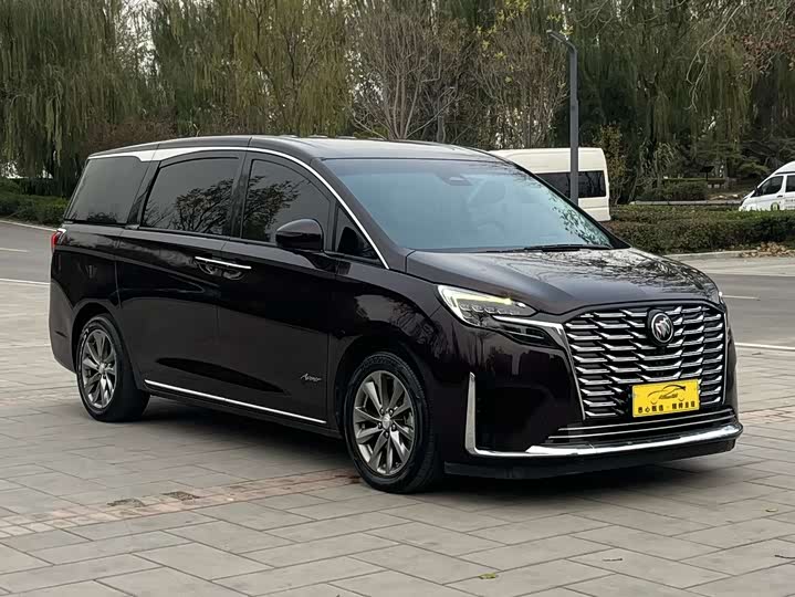 Фото 3 - Buick GL8 ES