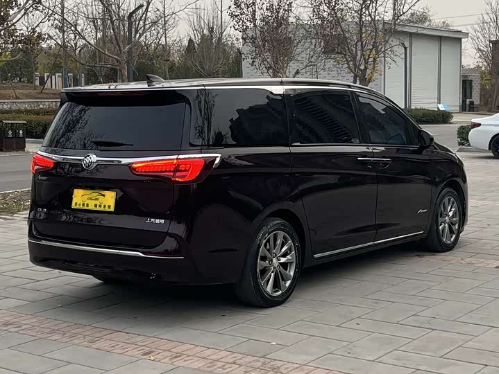 Фото 4 - Buick GL8 ES