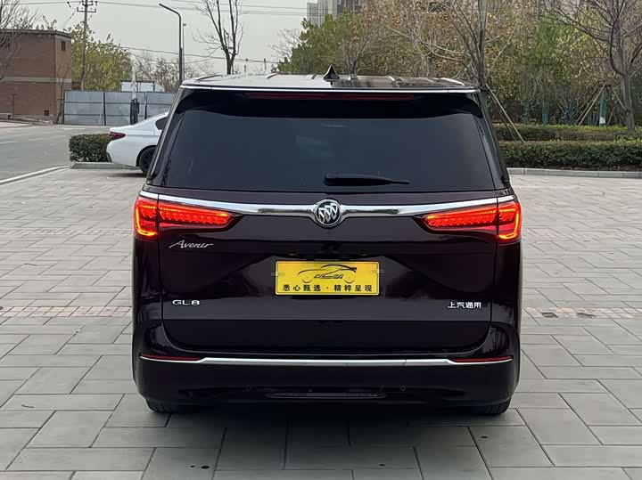 Фото 5 - Buick GL8 ES