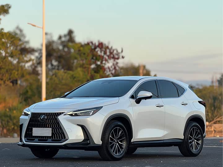 Фото 1 - Lexus NX
