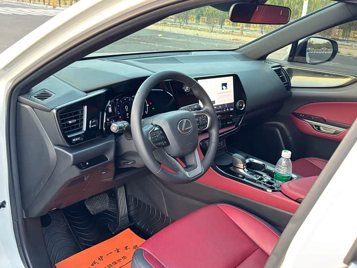 Фото 10 - Lexus NX