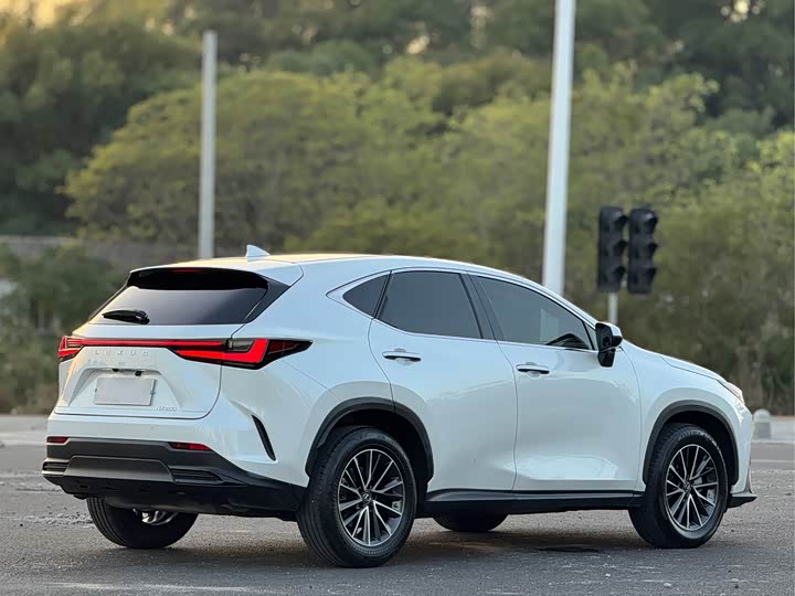 Фото 15 - Lexus NX