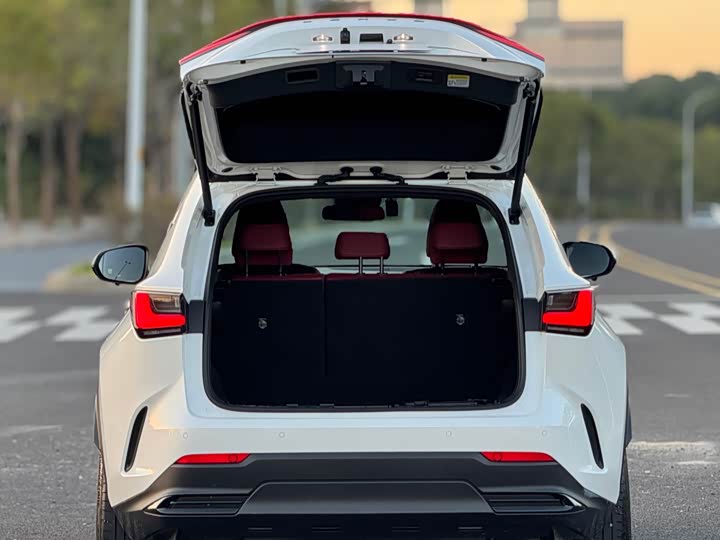 Фото 19 - Lexus NX