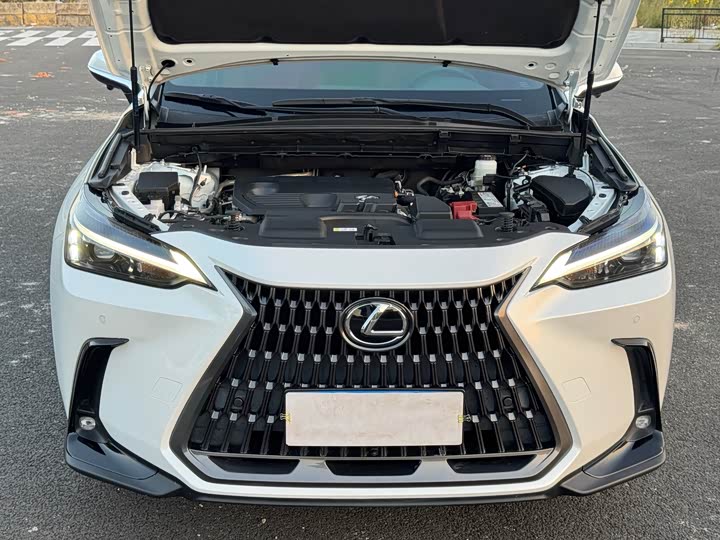 Фото 20 - Lexus NX