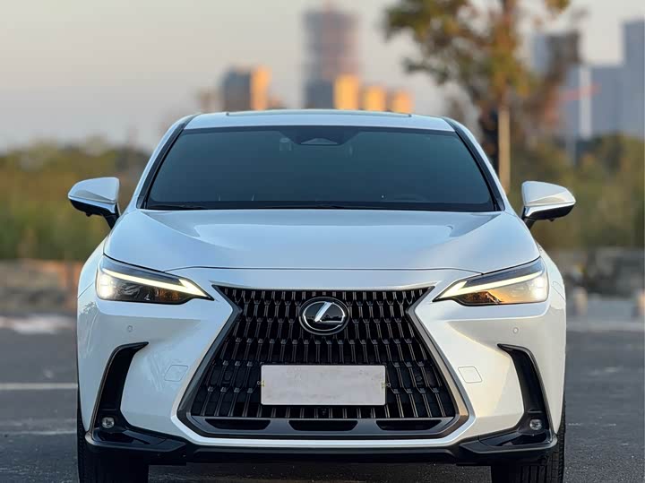 Фото 3 - Lexus NX
