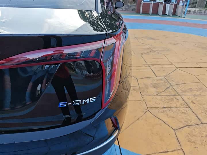 Фото 8 - Hongqi E-QM5