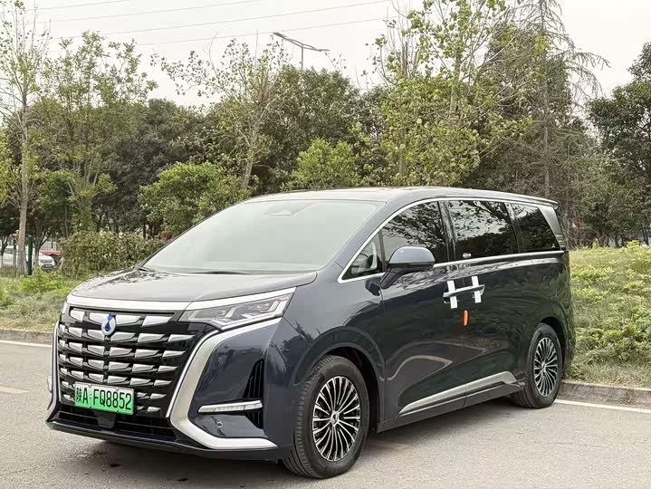 Фото 1 - Denza D9