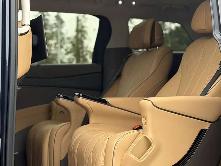 Фото 10 - Denza D9