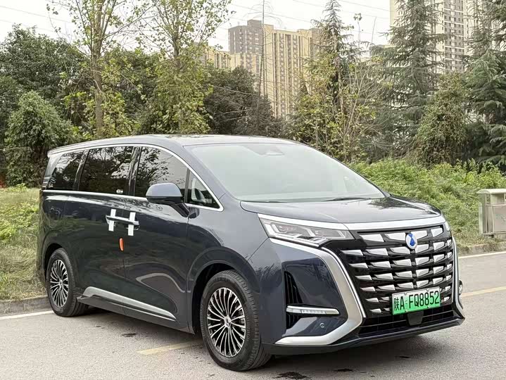 Фото 3 - Denza D9