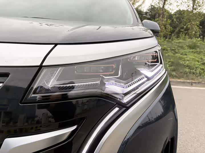 Фото 4 - Denza D9