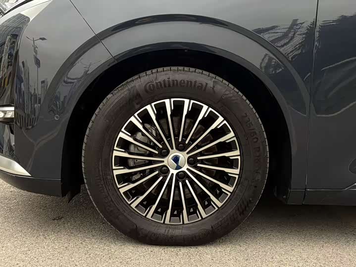 Фото 5 - Denza D9