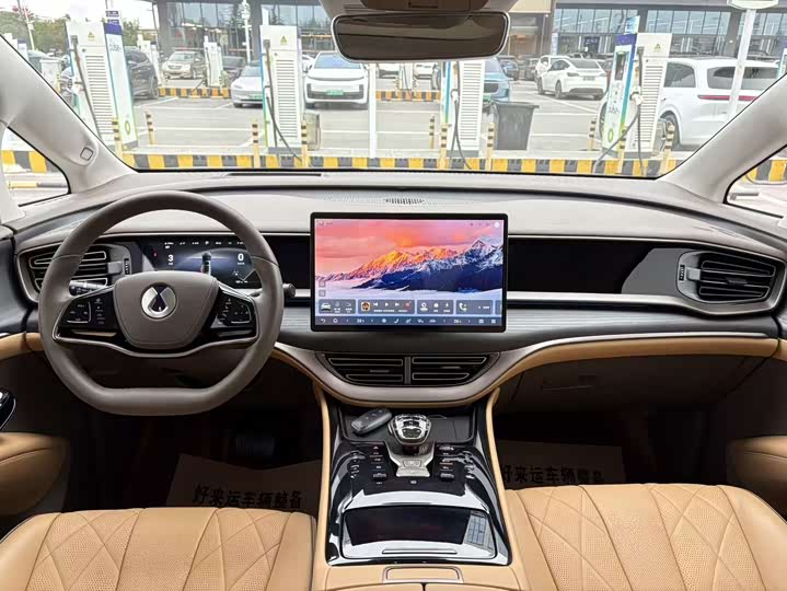 Фото 8 - Denza D9