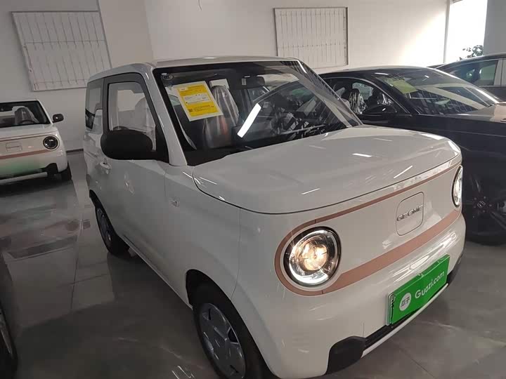Фото 4 - Geely Galaxy Panda Mini