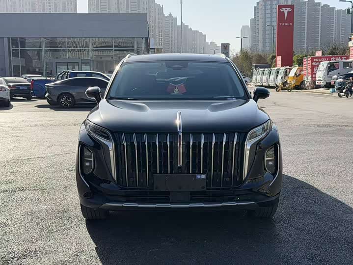 Фото 3 - Hongqi HS7