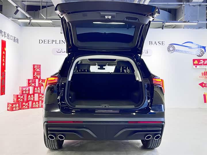 Фото 5 - Jetour Dashing