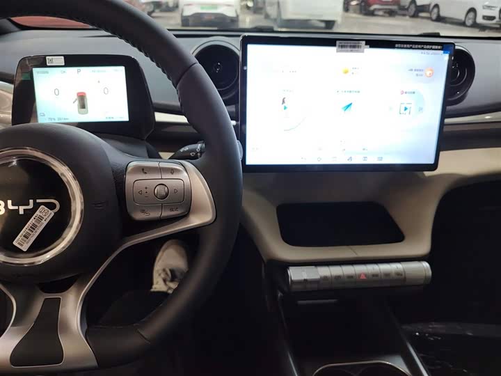 Фото 10 - BYD Dolphin