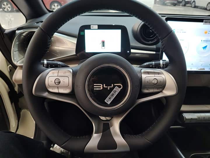 Фото 11 - BYD Dolphin