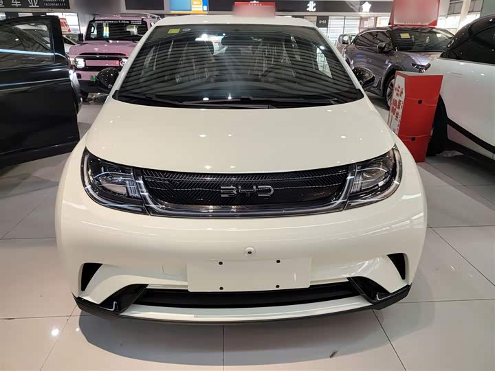 Фото 3 - BYD Dolphin