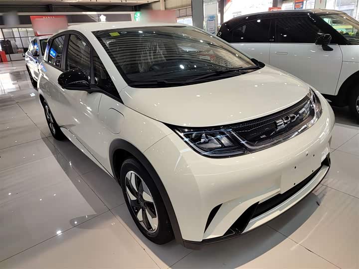 Фото 4 - BYD Dolphin