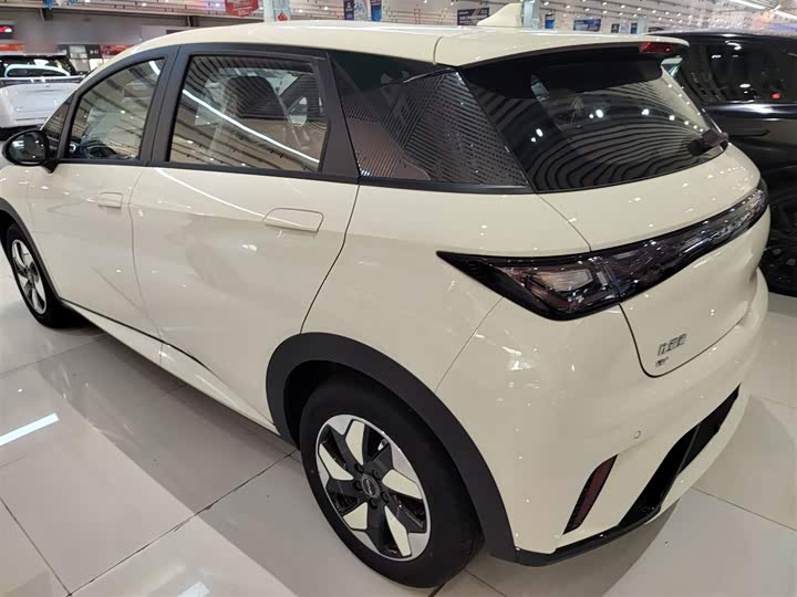 Фото 5 - BYD Dolphin