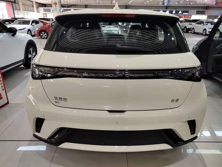 Фото 6 - BYD Dolphin