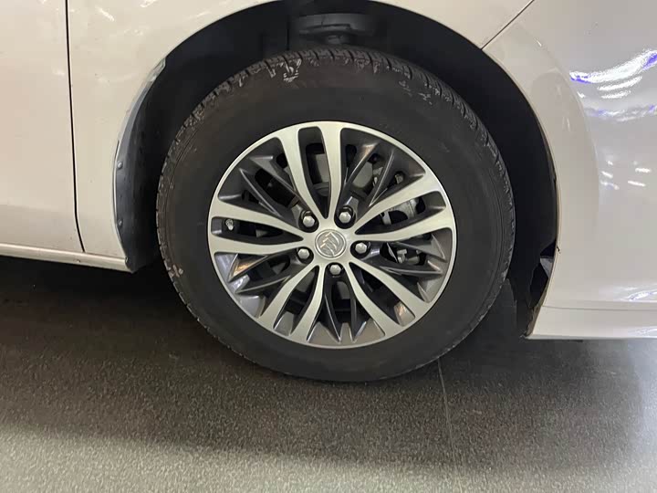 Фото 16 - Buick GL8 ES