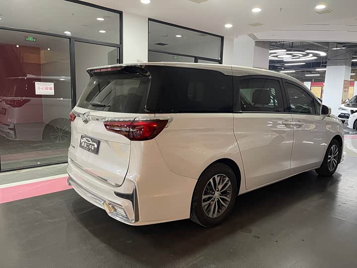 Фото 18 - Buick GL8 ES