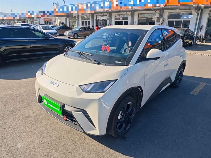 Фото 2 - BYD Seagull