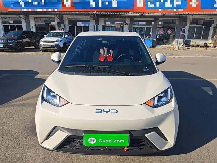 Фото 3 - BYD Seagull