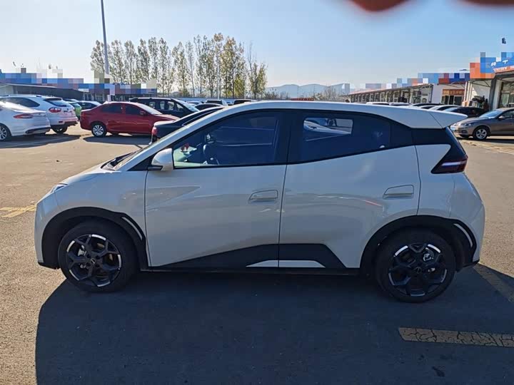 Фото 5 - BYD Seagull