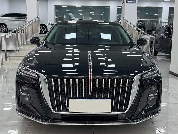 Фото 2 - Hongqi H5