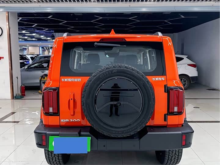 Фото 9 - Tank 300