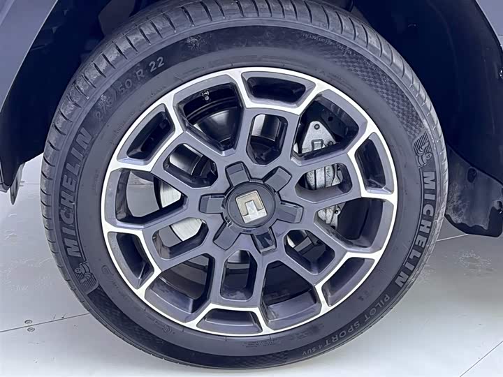 Фото 12 - Tank 700 Hybrid