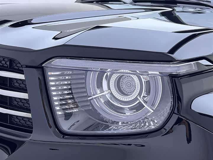 Фото 13 - Tank 700 Hybrid