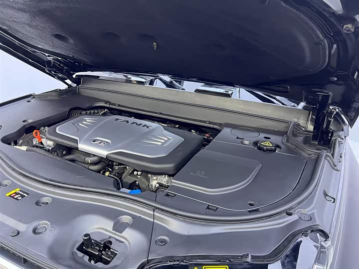 Фото 33 - Tank 700 Hybrid