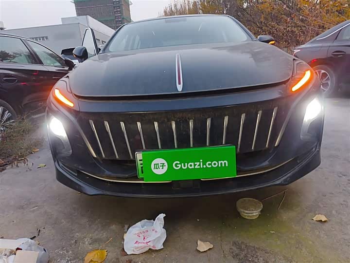 Фото 3 - Hongqi E-QM5