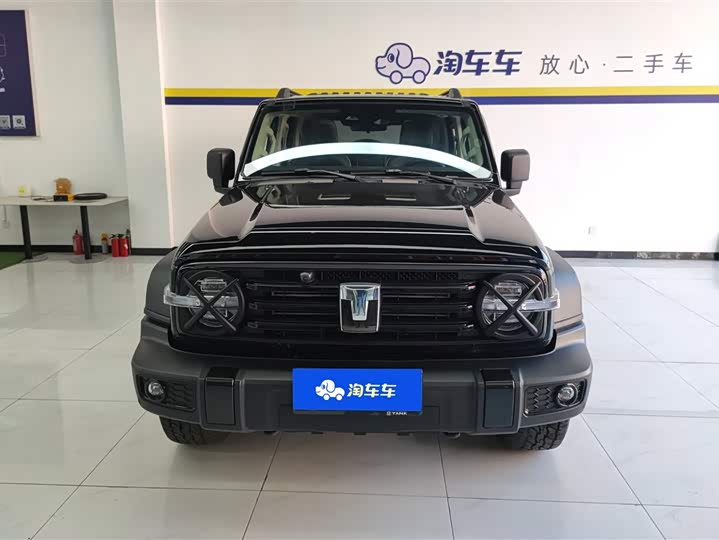 Фото 2 - Tank 300