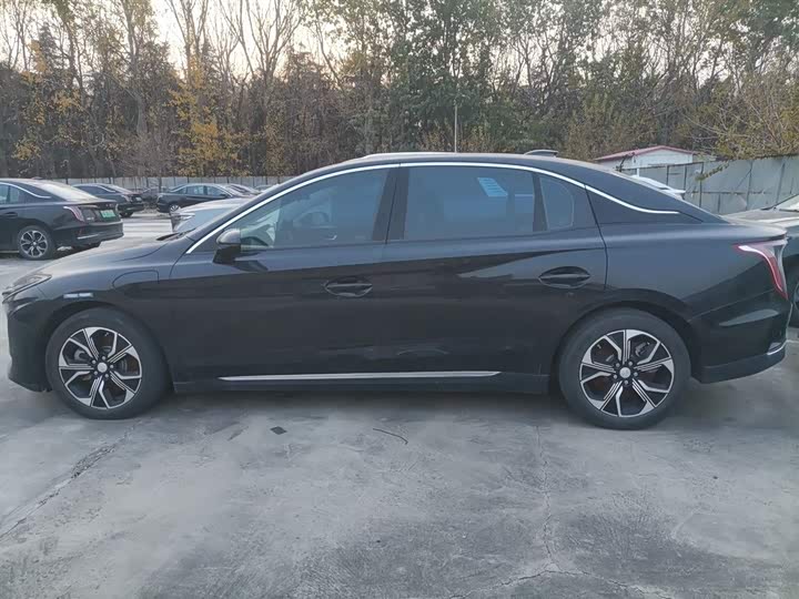 Фото 5 - Hongqi E-QM5