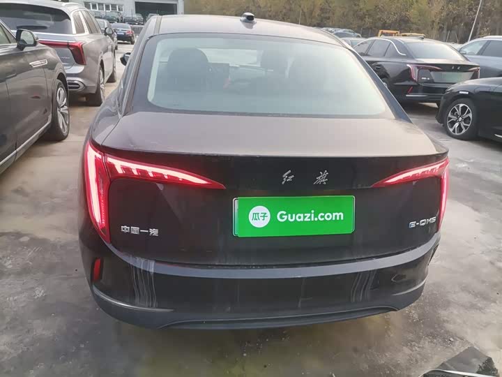 Фото 6 - Hongqi E-QM5